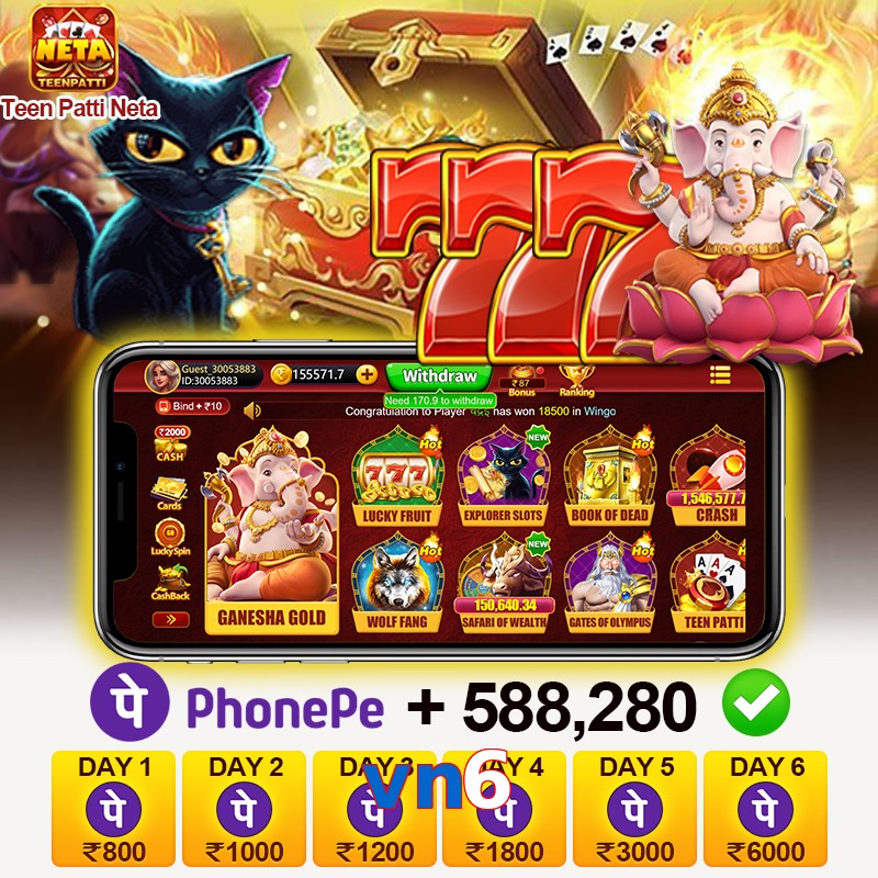 vn6