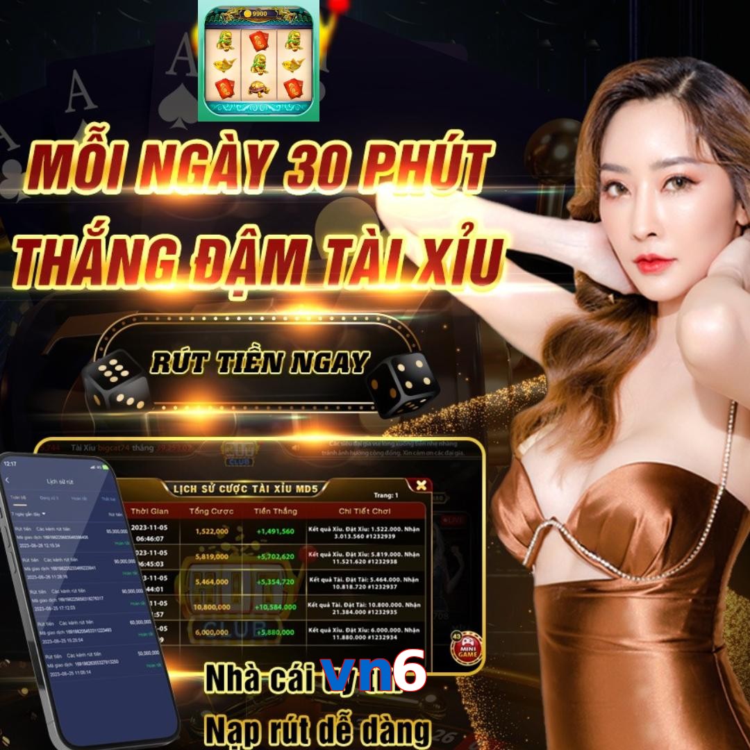 vn6