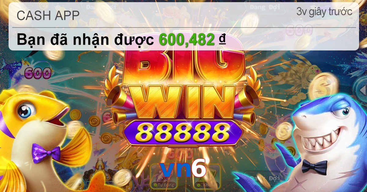 vn6